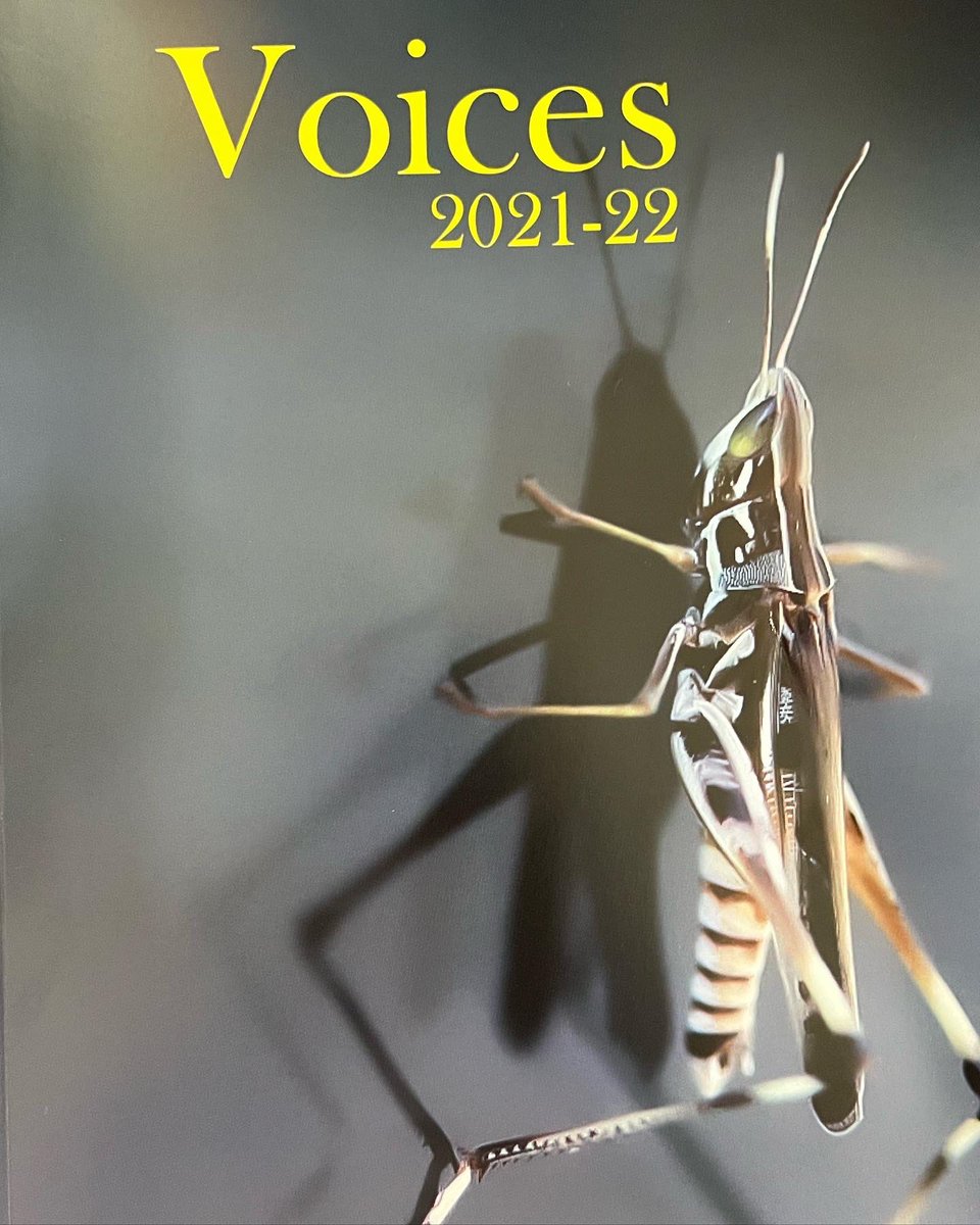 ryanorivera's tweet photo. I am beyond thrilled to share that my essay, ���How To Count,” has been published in Voices, the lit mag at MSU Texas. And to add to the excitement, it was also awarded the first place President’s Award for Prose. I’m so honored and over the moon. @msutexas #writer https://t.co/76BmklP8f2