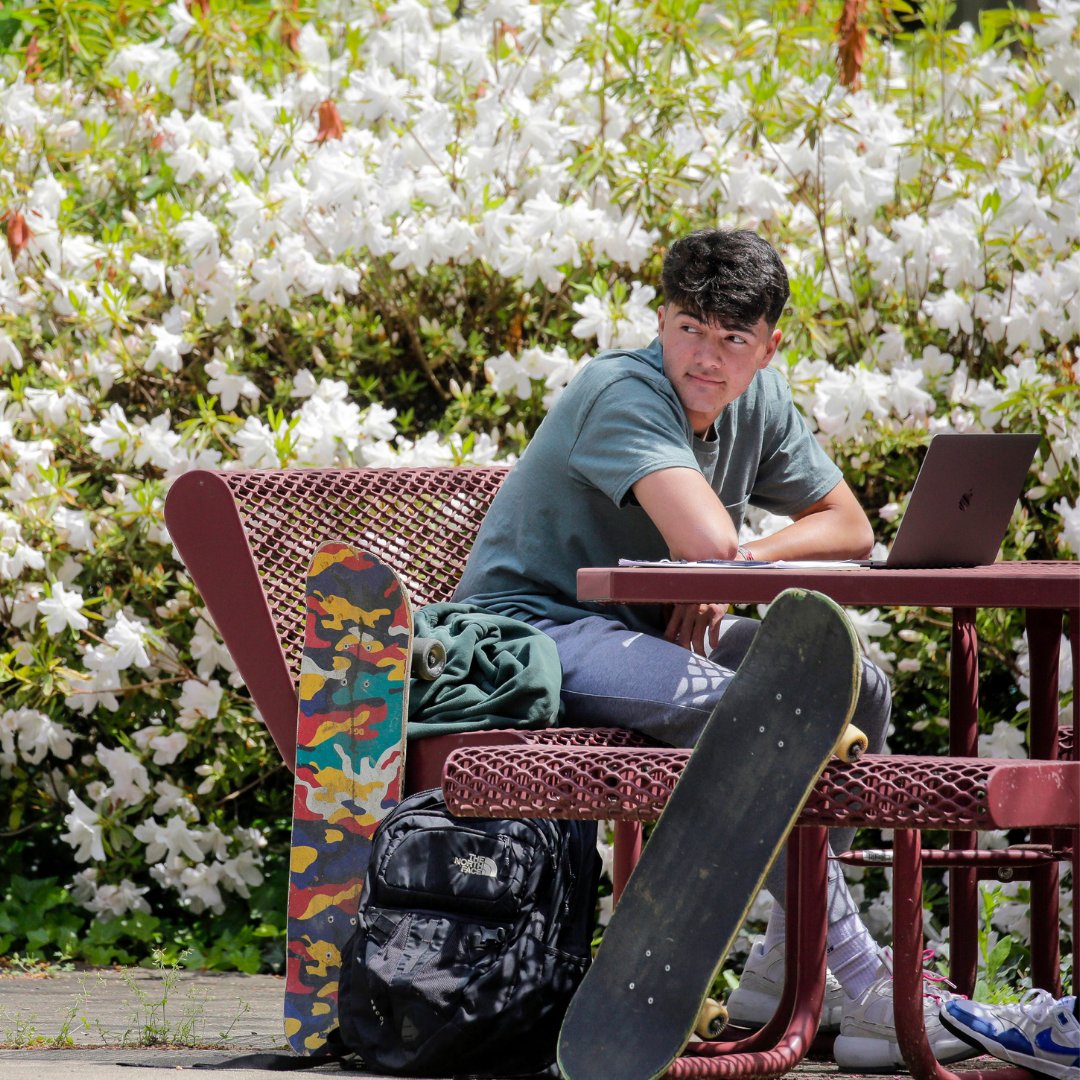 UALRadmissions's tweet photo. Expect More. That’s what we do at UA Little Rock. We expect more from ourselves. And that means as a student–you get more. Apply for free for fall classes by using promo code ➡️ TROJAN2022 ⬅️ at check-out! Go to https://t.co/4phXY2ZTpE https://t.co/IlJcUSOoQI