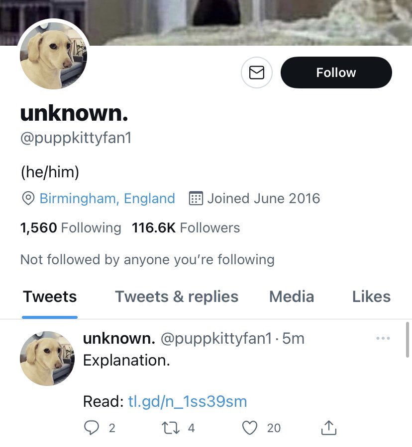 SlightNeuGent's tweet photo. My overarching study will have to pause if Puppychan happens to be returning to the stage once more. https://t.co/Wgeyec05Q2