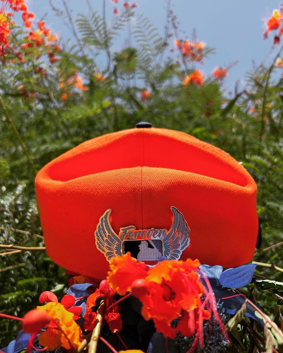 Catoishere's tweet photo. The first step toward success is taken when you refuse to be a captive of the environment in which you first find yourself.” – Mark Caine

#PINdejos #PINdejas
🧢 @HatClub 
📌 #bighead.fitted @Uli_GEE @mjbhpr #mrwhatttfire18 @RahnniFitteds #itstazmula https://t.co/PeWeAxgFlT