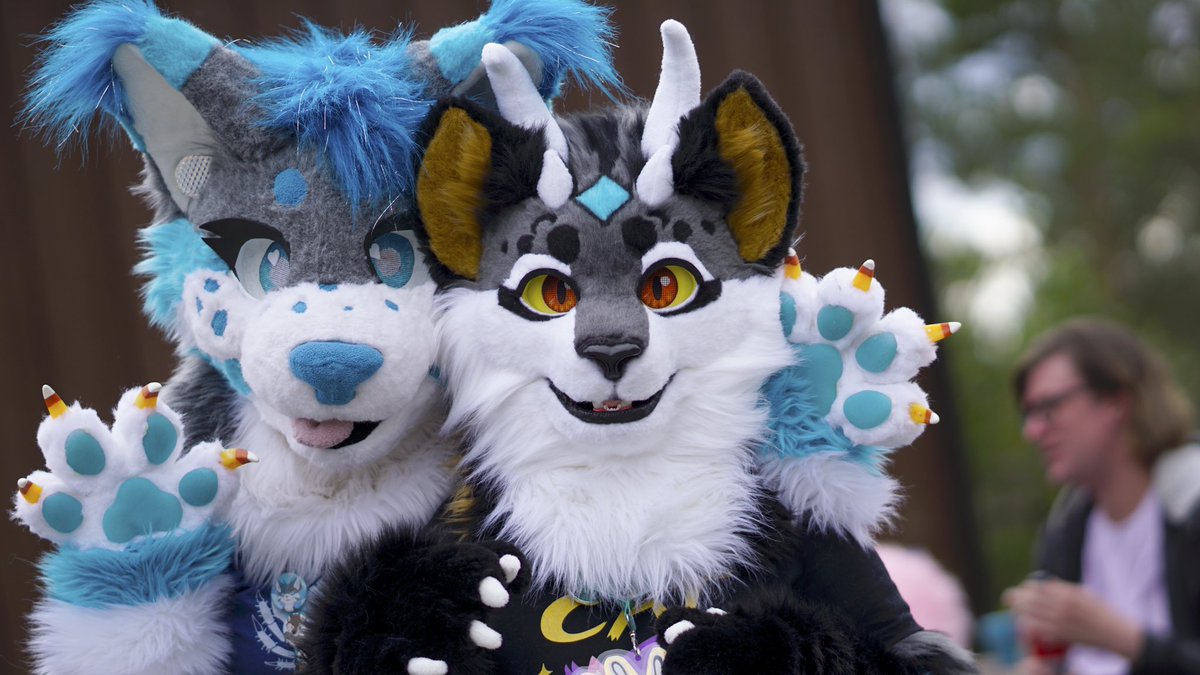 UsagiPhoto's tweet photo. Hello ✨

After a long pandemic, Furway was finally happening again! I took some shots, and will post more on to FurTrack! 

#Furway2022 https://t.co/HjFWN9SUqG