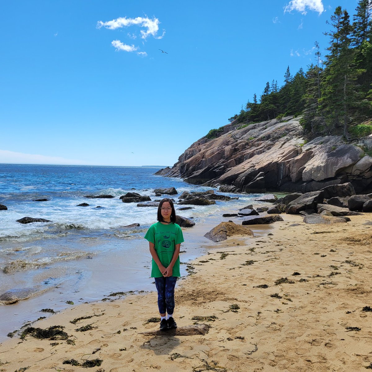 JCarpenterVB's tweet photo. Ironically, we don't spend much time at the beach in Va Beach, but here are some days spent at the beach in Acadia, Fundy National Park, &amp; Nova Scotia 🏖. #vbsummerbingo #vbhasjoy https://t.co/Ov9vNGqXKU