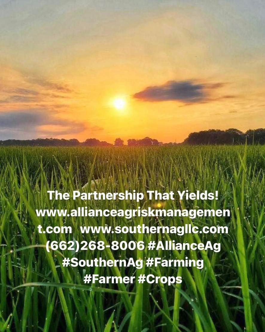 Alliance_Ag's tweet photo. Top quality pic. Top Quality Company. Give Alliance Ag a call for your #CropInsurance !! 

#farming #sunset #monday #ag https://t.co/eRNuyDqofz