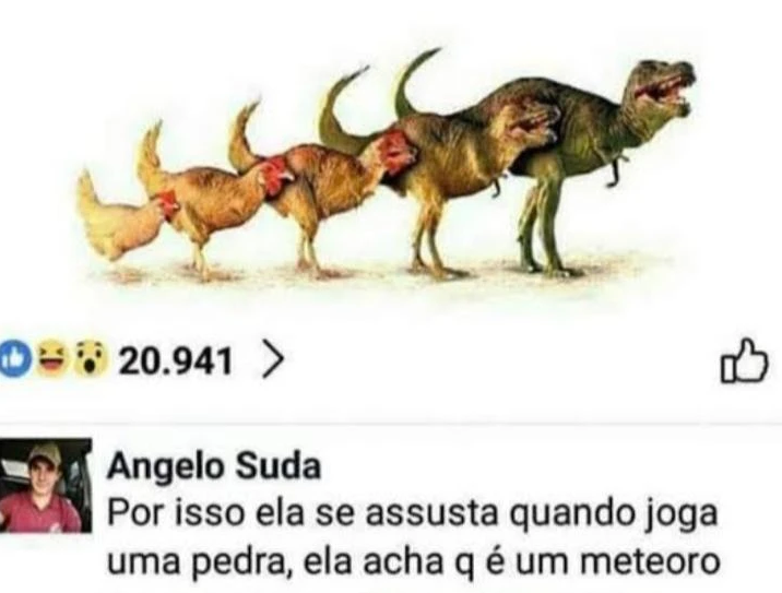 shitpostverdade's tweet image. 