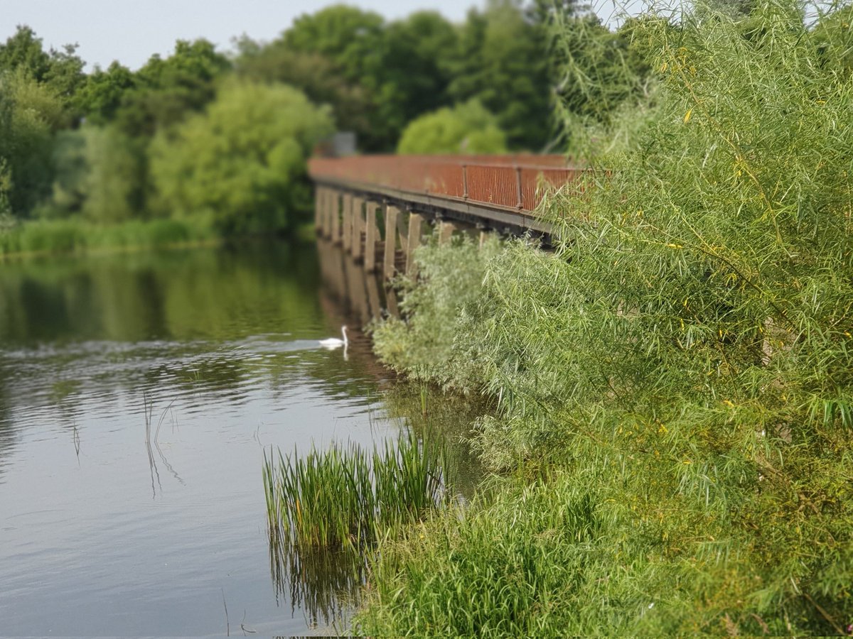 Ciarán Cuffe tweet media