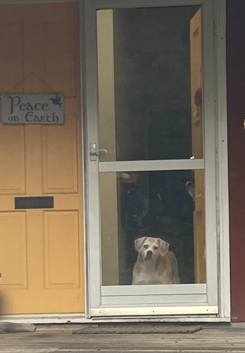 Where are you going Dad?