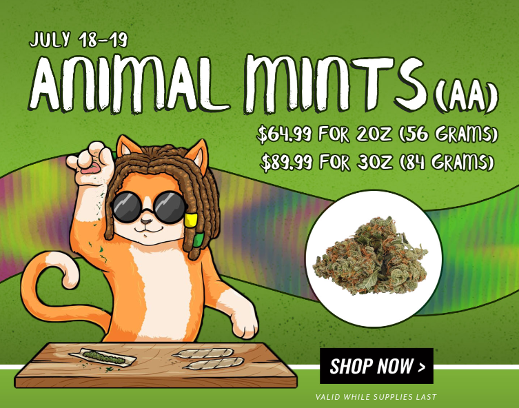 doobdashers's tweet photo. Time to restock your Animal Mint stash! Click here to learn more https://t.co/q5qhawcbv4😎 https://t.co/yfgiFWgGDW