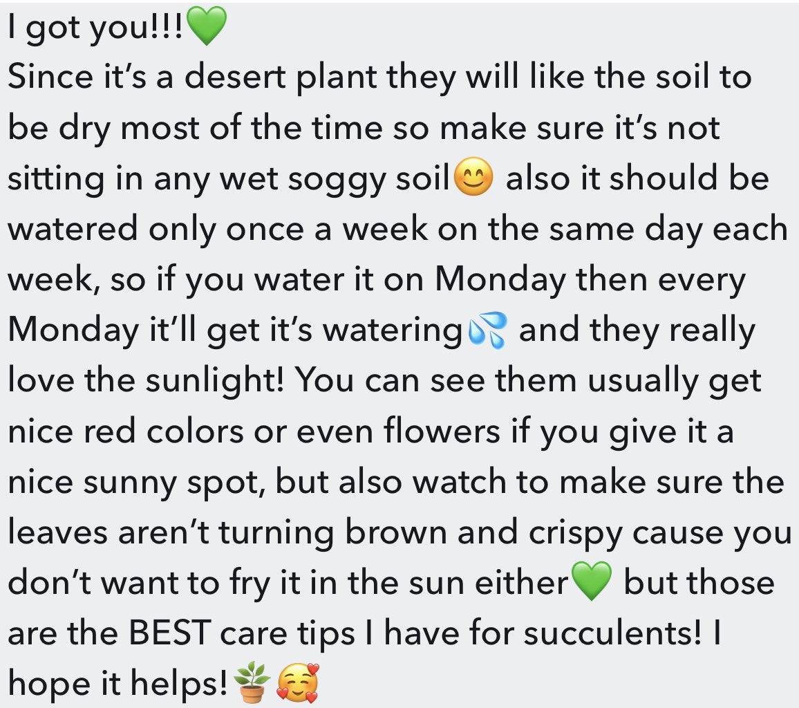 MountainPixie_'s tweet photo. @LiamHunterMua Here’s just a bit more in depth my best tips for succulent care🥰 Happy Growing!💚👍🏼🪴 https://t.co/SZ8q7C40t7