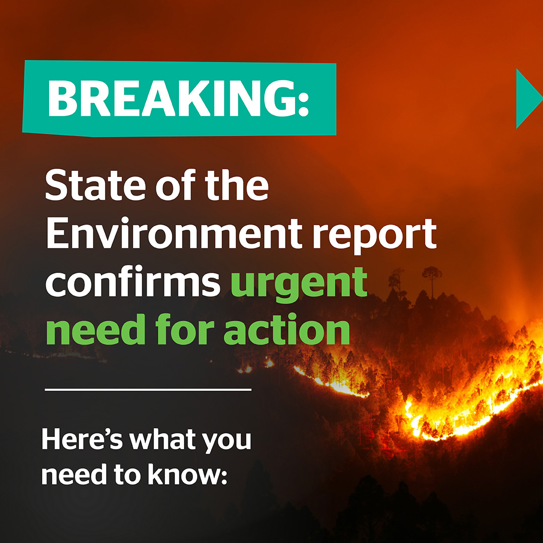 It's here and as predicted, the giant State of the Environment report is grim reading.

A thread:

#SoE2021