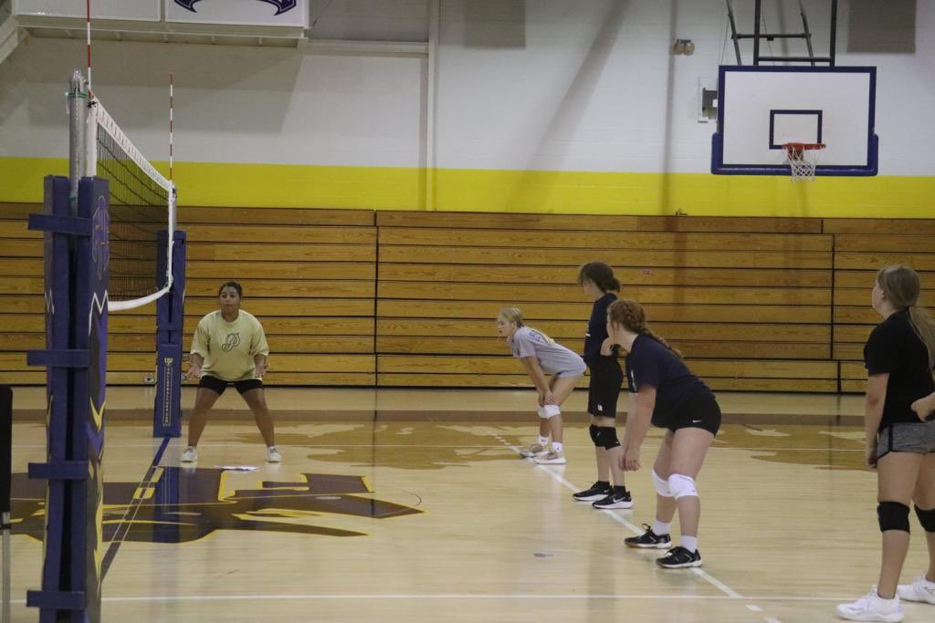 fpc_volleyball's tweet photo. Advanced camp has been amazing! 1 more day with all of these great athletes! Can’t wait to see how far they go! Continue to show up and show out! Great job ladies! 💙💛💪🏽 #FPCSTRONG #volleyball https://t.co/KqQGoWGD12