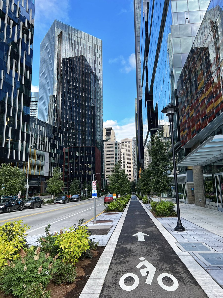 What’s the prettiest bike lane in your town? (not necessarily the most functional)