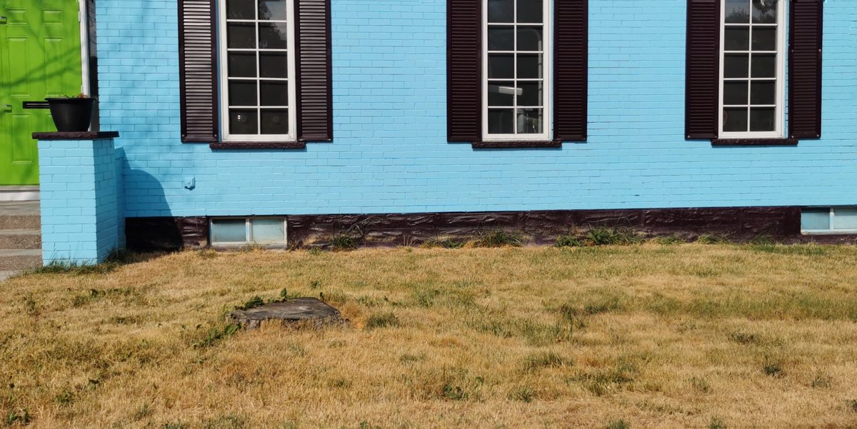 We’ve had a dry summer so far. Is your grass brown? It’s normal for lawns to go dormant!👍

If you decide to water, follow the Conservation By-law and only do so on your assigned day and time.

Details at regionofwaterloo.ca/waterbylaw