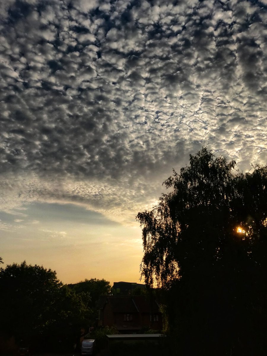 h3mky's tweet photo. This evening's clouds & sunsetππ§‘
#ThePhotoHour #thestormhour @ThePhotoHour #clouds #sunset #SunsetVibes #sunsetphotography #Heatwave2022 #heatwaveuk #ukweather #SummerVibes #Summer2022 #hottestdayoftheyear #weatherlover #sunsetwatcher #ALTOCUMULUSCLOUDS https://t.co/pMcjLEQcJb