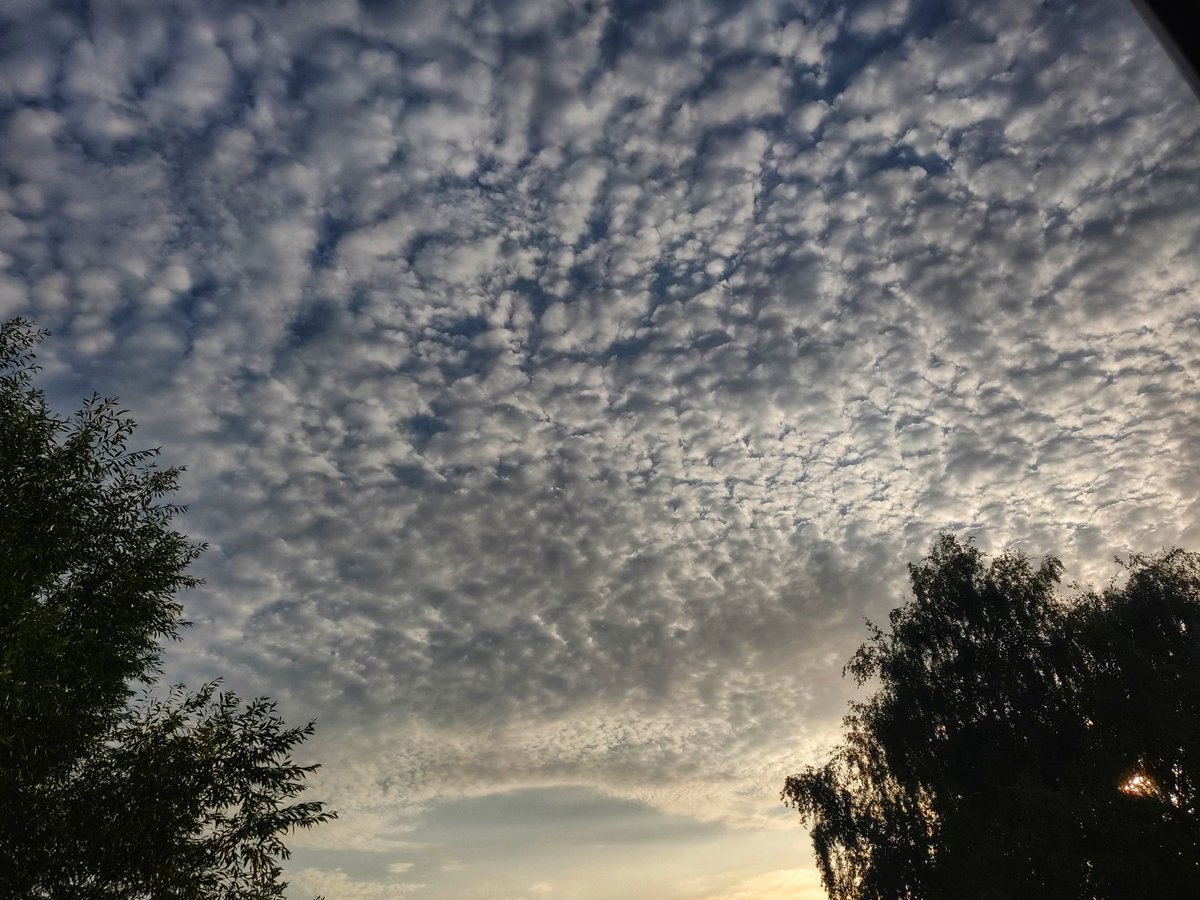 h3mky's tweet photo. This evening's clouds & sunsetππ§‘
#ThePhotoHour #thestormhour @ThePhotoHour #clouds #sunset #SunsetVibes #sunsetphotography #Heatwave2022 #heatwaveuk #ukweather #SummerVibes #Summer2022 #hottestdayoftheyear #weatherlover #sunsetwatcher #ALTOCUMULUSCLOUDS https://t.co/pMcjLEQcJb