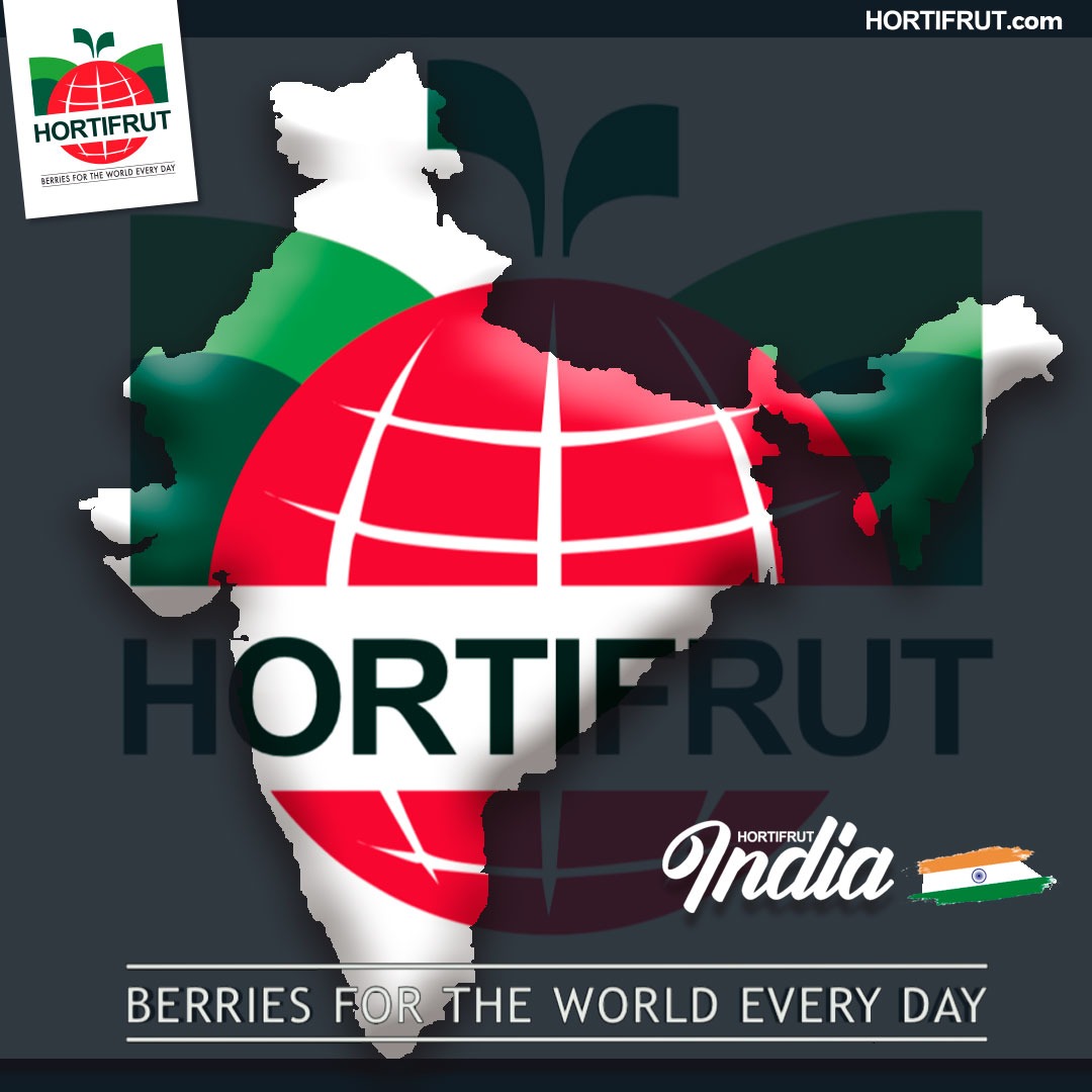 Durante este año hemos expandido nuestra operación en India 🇮🇳, afianzando nuestra presencia en el mercado asiático e incorporando al mercado local indio arándanos 🫐🫐 de mejor sabor. 

#SomosHortifrut 💚 #BerriesForTheWorldEveryDay