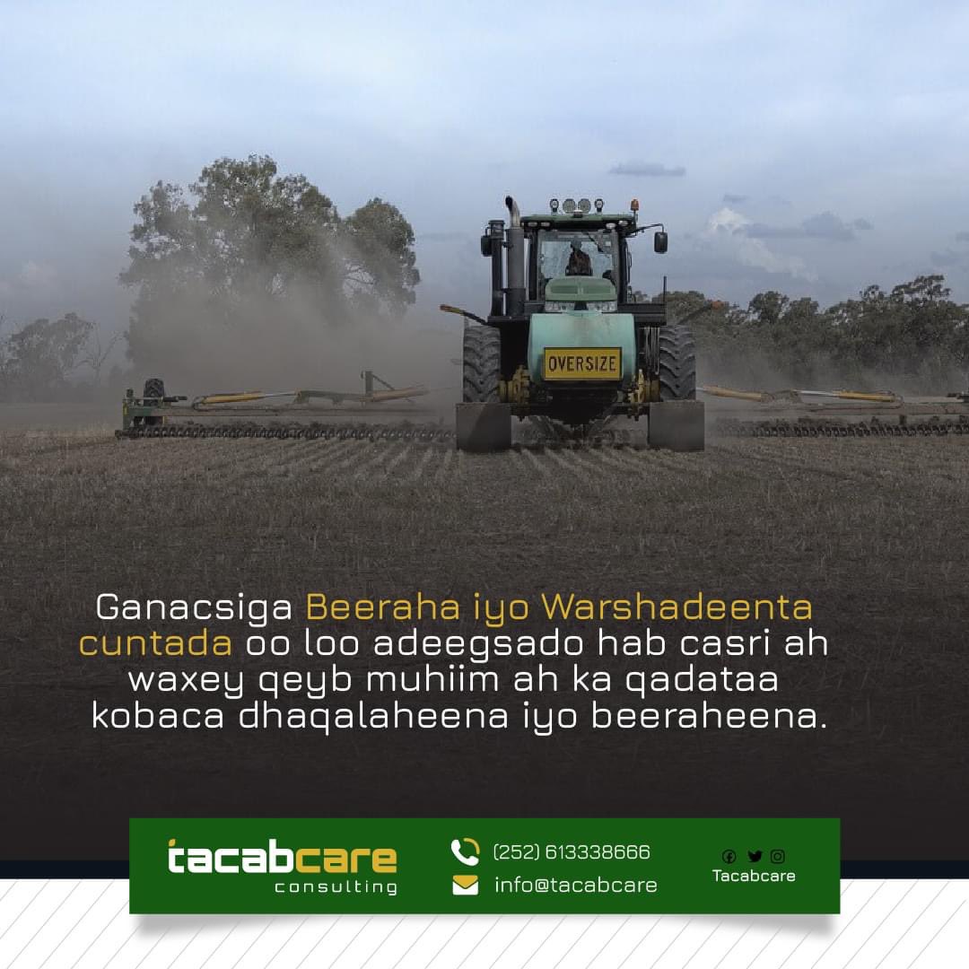 tacabcare's tweet photo. Ganacsiga beeraha iyo warshadeenta cuntadu oo loo adeegdado habab casri ah waxay  qeyb muhiim ah ka qaadataa kobaca dhaqaalaheena, beeraheena iyo horumarka bulshada beeralayda iyo macaamiisha ku xiran.

 #Tacabcare
 #farming #Somalia #agriculture https://t.co/wjeVCbRVef