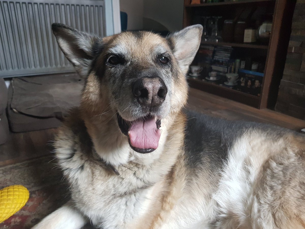 Pippa_Pig tweet media