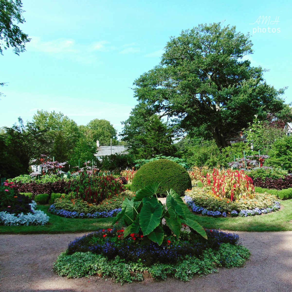 📍 Annapolis Royal Historic Gardens

08.14.2017 #annapolisroya #historicgardens #victorianera #roadtrop #visitnovascotia #travelns #getoutsidens