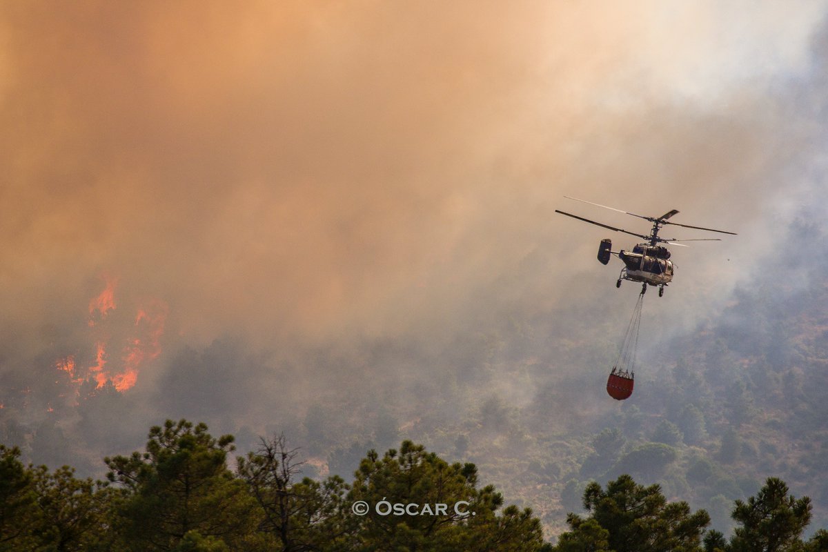 OscarBForestal's tweet photo. Como bombero forestal estas imágenes me destrozan el alma como a todos los que aman la naturaleza y su entorno. Son de hoy del #IFCebreros. Muchas gracias a todos los medios que hoy han dado todo por salvar cada hectárea y vida. Orgulloso de esta profesión, de esta forma de vida. https://t.co/DnkGOojKlE