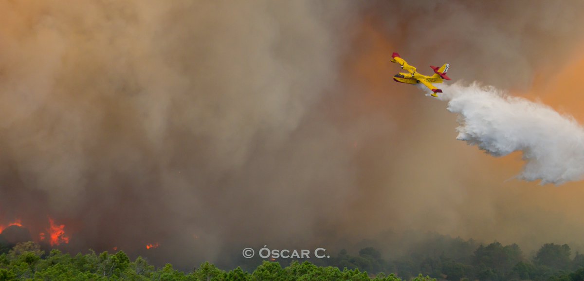 OscarBForestal's tweet photo. Como bombero forestal estas imágenes me destrozan el alma como a todos los que aman la naturaleza y su entorno. Son de hoy del #IFCebreros. Muchas gracias a todos los medios que hoy han dado todo por salvar cada hectárea y vida. Orgulloso de esta profesión, de esta forma de vida. https://t.co/DnkGOojKlE