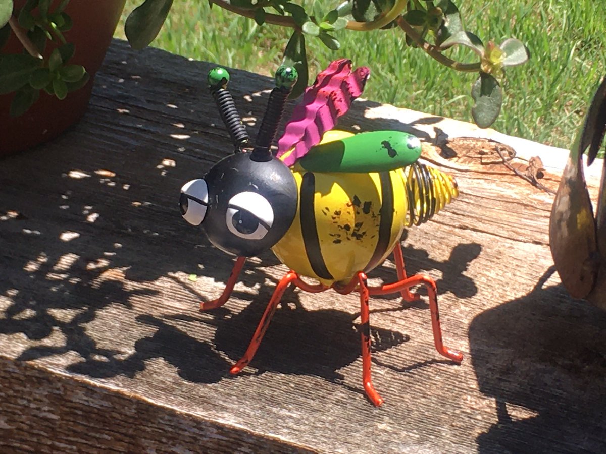 CoachZinn's tweet photo. Some might say we have a little pest problem this year!!😳😍😉

These are just a few of many and we just love them!! ❤️❤️❤️

#BugLife #BugsOfSummer #DontStopBuggingMe #BugsFunny #MiceArePeopleToo 🤔 #GardeningWithHumor #FindingJoyInTheSmallThings https://t.co/fJjkgv2Mlw