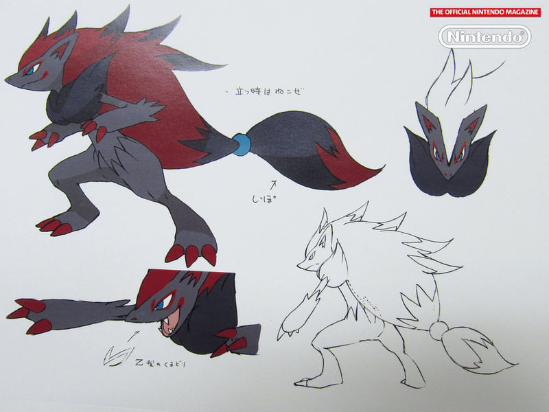 Pokémon Arts and Facts on Twitter "Concept art of the Pokemon Zoroark