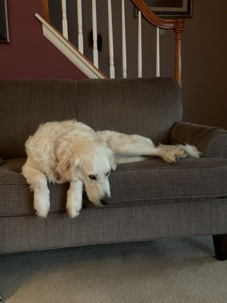 Huckleberry & Holly-berry tweet media