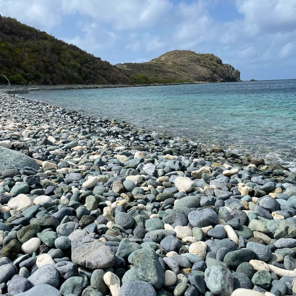 FriendsVINP's tweet photo. Ram Head, Virgin Islands National Park 🌱

Support trail work, marine conservation, beach cleanups, tree replanting and other projects here: https://t.co/MuBYMT6tVZ
#thisisourpark #stjohnusvi #stjohnvi #usvi #nationalpark #nationalparkgeek #vinationalpark #findyourpark https://t.co/uzELWUdAID