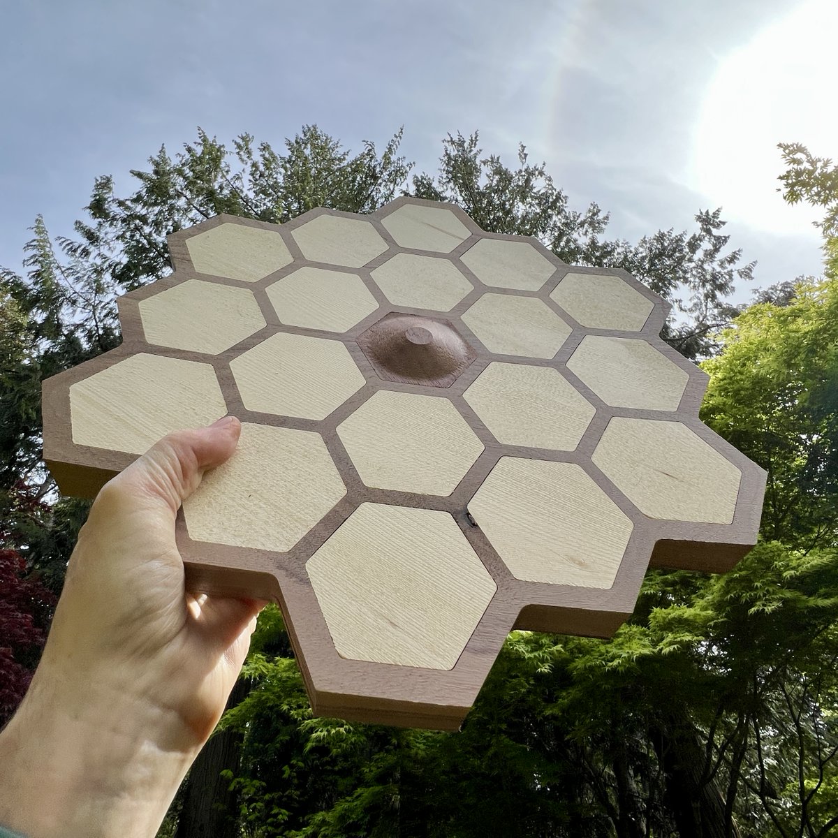 timcel's tweet image. My @JWTelescope sculpture is a million miles short of L2, non-functional, sits on a table and is made of wood.
@NASAWebb #wood #woodcarving @popularwoodworking #sculture #space @NASA @pweditors @WebbTelescope_ @WebbTelescopeUK