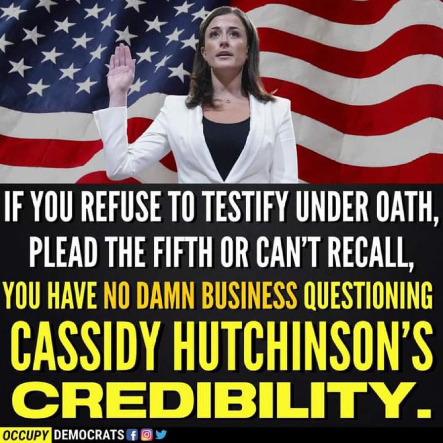 lynn_of_cait's tweet photo. This goes out to all the #MAGAts and traitors to our country who attempt to villainize those brave enough to do the right thing while all they do is cower and spread lies #TrumpCrimeFamily https://t.co/Pz6yBJJWBX