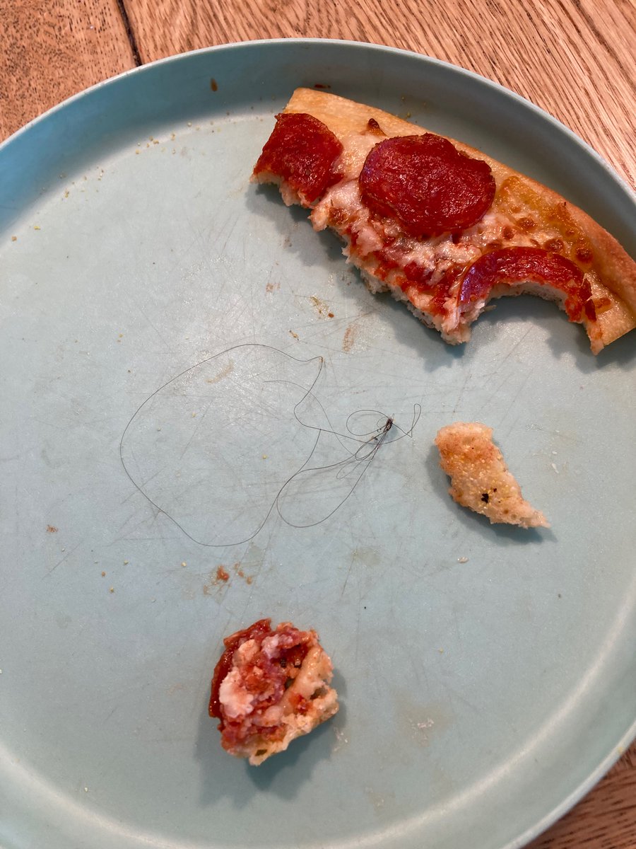 SamuelsonAshlee's tweet photo. Hey @littlecaesars look what we found in our pizza😱 https://t.co/KJ4GAe2Vka