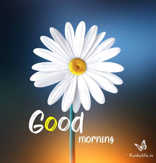 Harish_twitzz's tweet photo. வாழ்க்கை என்பது வாய்ப்புகளால் நிரம்பியுள்ளது

அதனை நாம் பயன்படுத்தும்  வழியை பொறுத்தே நம் வாழ்க்கையும் அமையும்...!!

#இனிய_காலை_வணக்கம்🌻

#ARSplus https://t.co/mhZZX0IyVm