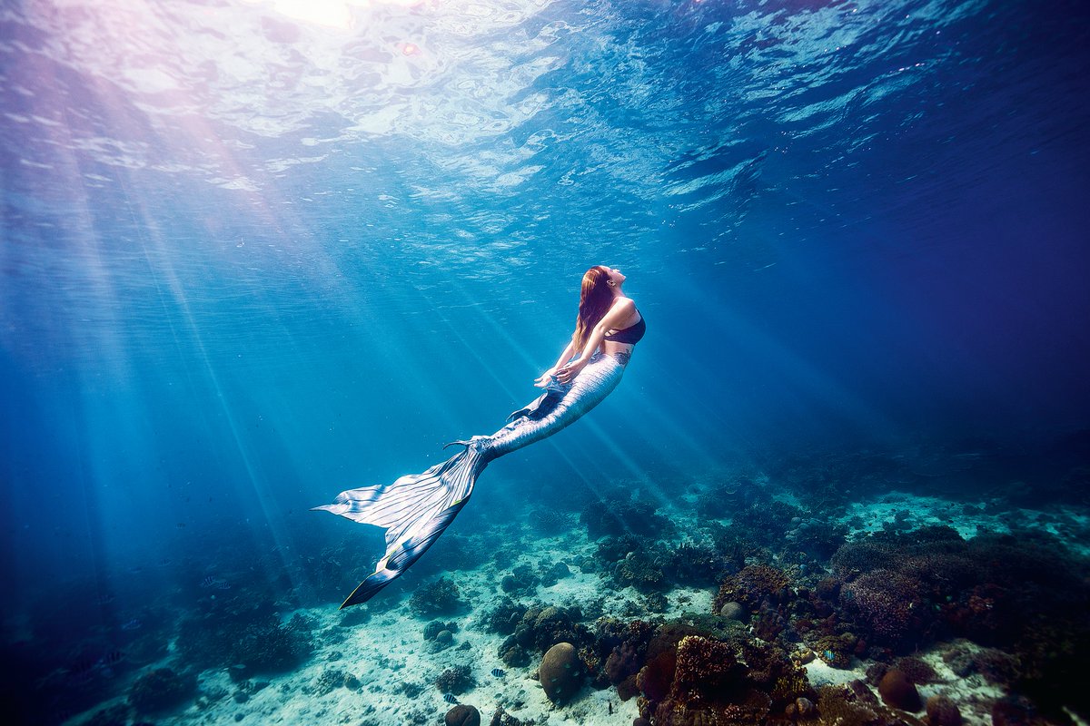 diveSSI's tweet photo. #Mermaiding has fast become a popular activity within the aquatic world, with mermaid events, meet-ups, festivals, conventions, & competitions happening throughout the year worldwide. So why not take it a step further? https://t.co/4BSR1QPP0u
📸: wei shang
#wearessi #ssimermaid https://t.co/qK7WkuvtlP