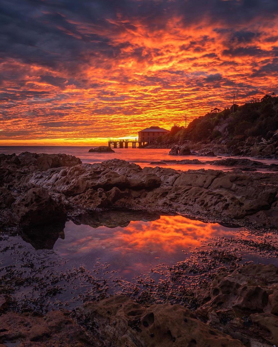 That’s one crazy sunrise captured on the Winter Solstice in Tathra, Australia by <a href="/Davey_Rog/">David Rogers</a> using #nisi filters!

We think it was worth the effort to be out shooting this Davey!!

#nisi #nisifilters #nisifiltersanz #earthpics #earthpix #PhotoOfTheDay