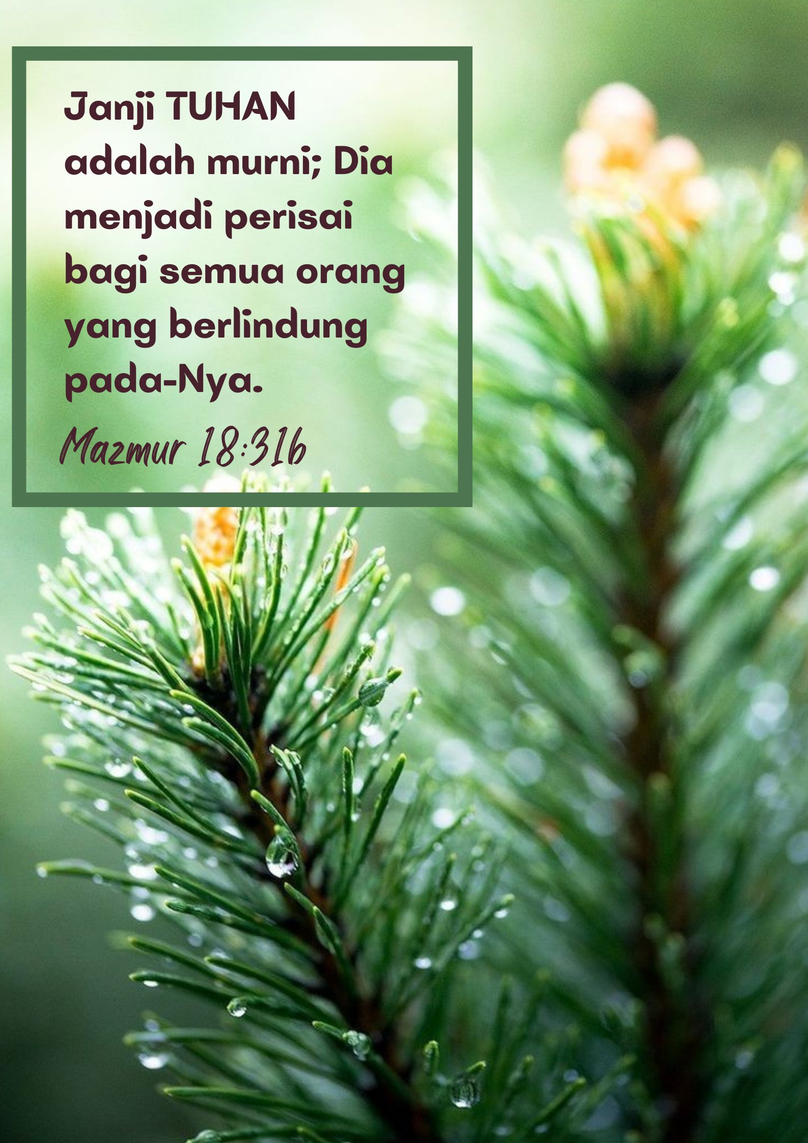 Meiklin (@meiklin_l) / Twitter