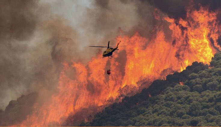 A los Bomberos forestales, a los pilotos de helicópteros e hidroaviones, a la UME, a los equipos de Protección Civil, al Seprona de la Guardia Civil, a los voluntarios …
GRACIAS ‼️
