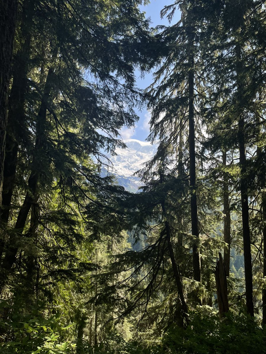 todays #hikeoftheday was gobblers knob (yes unfortunate name) in the Mt Rainier nat’l park and i’m honestly? stunned still..