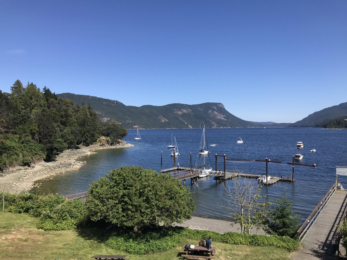 Takurua2's tweet photo. #RampartLion #BeautifulBC
#MapleBay #Patio #VancouverIsland https://t.co/5FpZ5ZFVWv