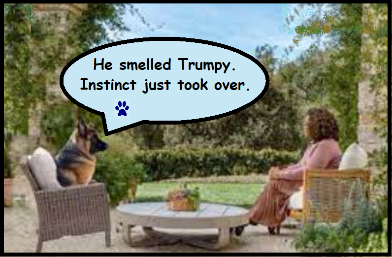 nita2293's tweet image. #Jan6th  
#GoodBoy  
#DogsKnow
#MajorBiden 
#SSCoverUp