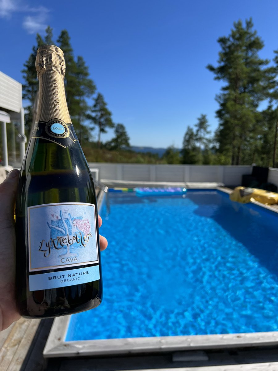 Hans 🏴‍☠️ tweet media