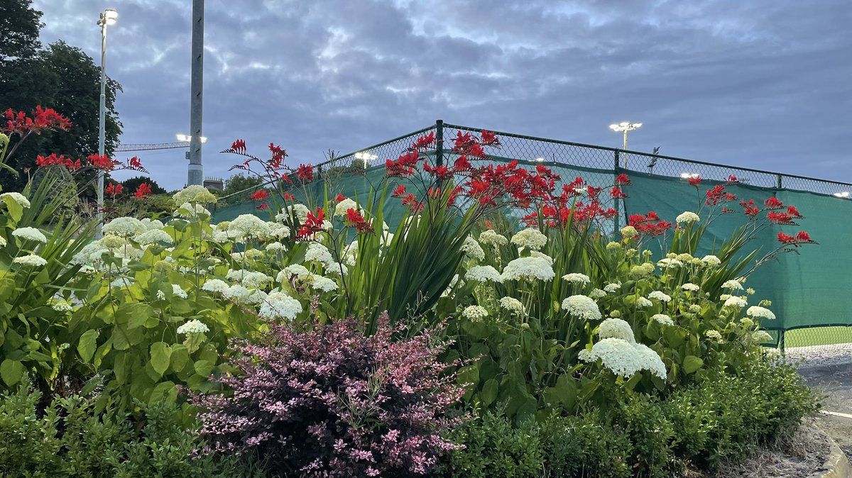 Game of tennis over and passed this flower bed on my way to my car.