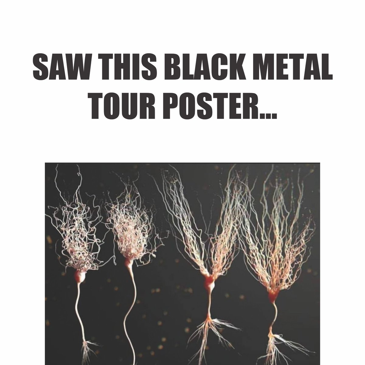 bfsrocks's tweet photo. this tour will be....great....yeah...all these great bands....
#HellWeCantEvenReadThis #BranchTour #BlackMetal #DeathMetal
On Tour Next Week ๐๏ธ๐
https://t.co/hPb9VoP8w3 https://t.co/ZWWtHbs5In