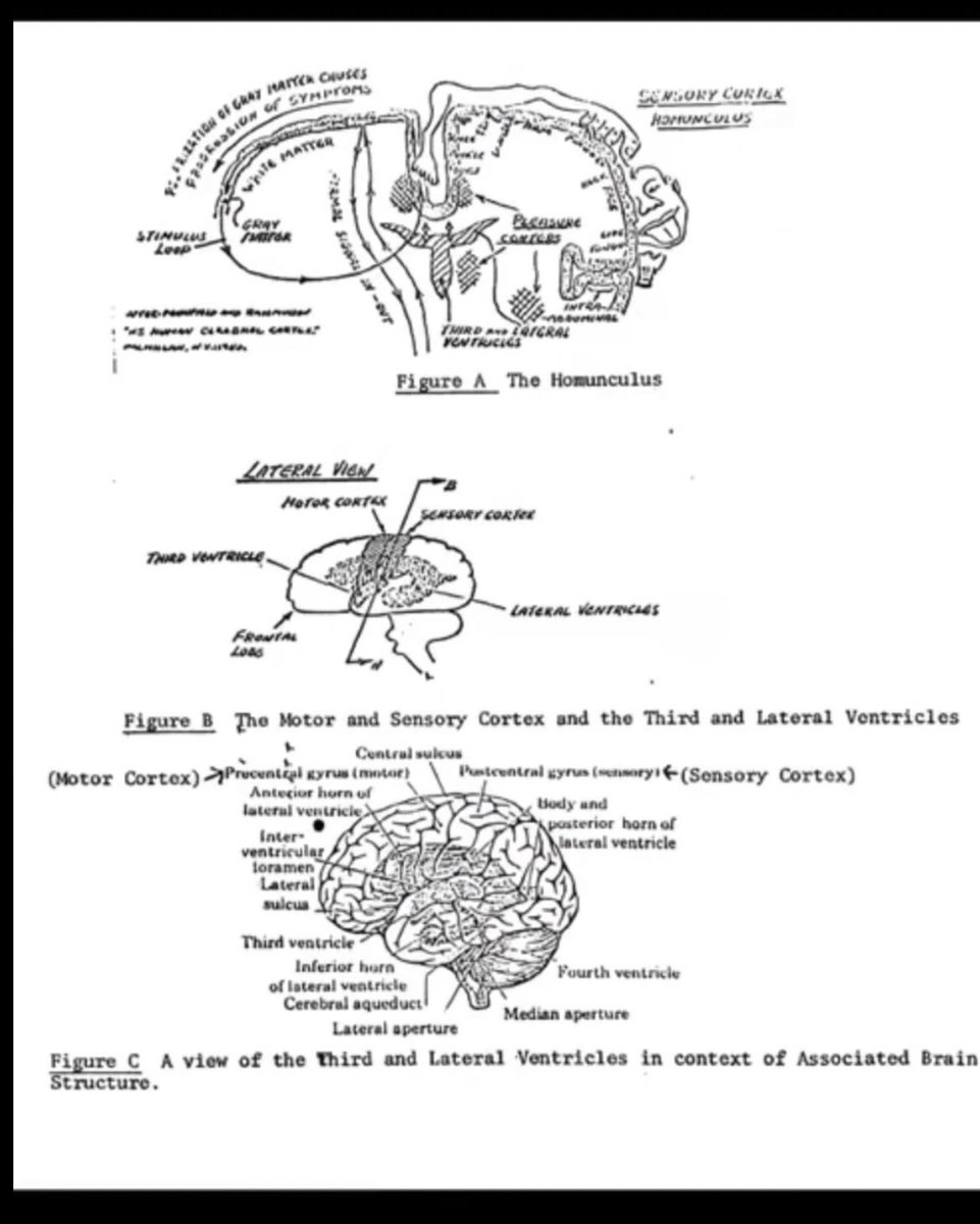 jyxdi's tweet photo. CIA documents proving that manifestations are real. Nikola Tesla talks about frequency for a reason. https://t.co/6Jtrxjpmjz