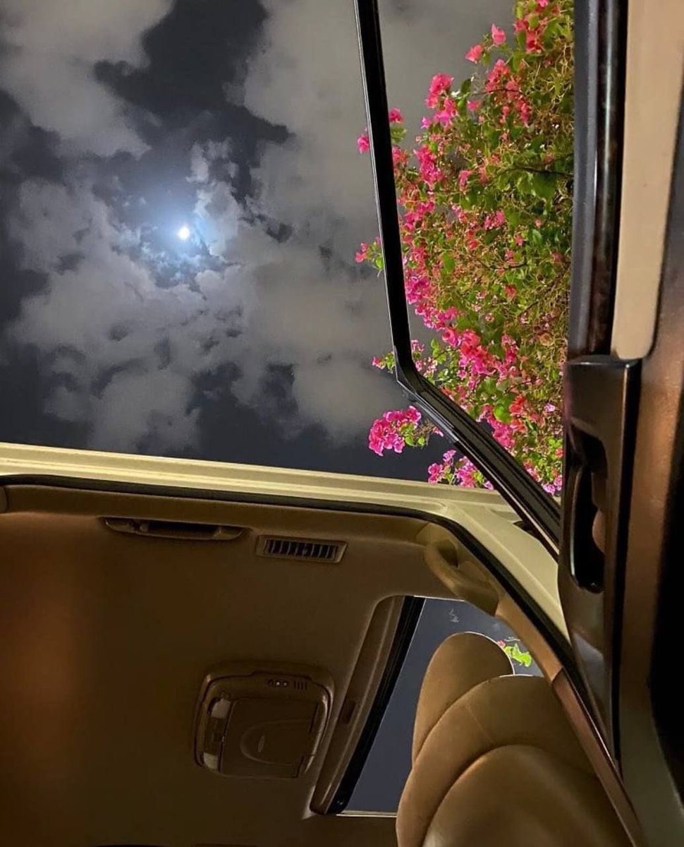 في سماء حبك أستظل وأرتوي من مطر عشقك