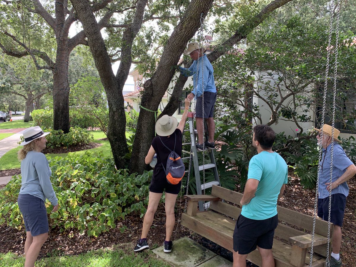 BrowNatOrchids's tweet image. Fun day installing 150 Encyclia tampensis seedlings with four Florida Master Gardener Volunteers guiding many Rio Vista friends and neighbors. ⁦@HortUrban⁩ ⁦@millionorchid⁩