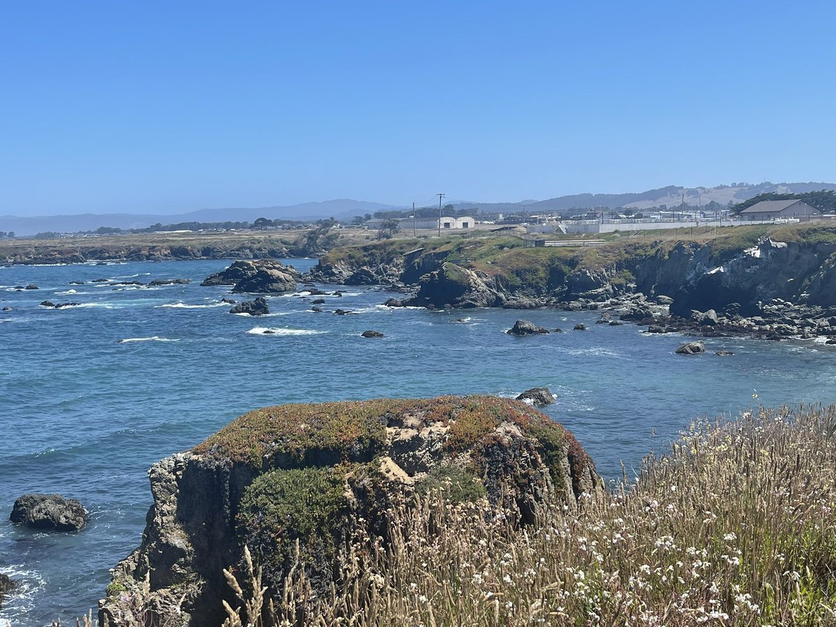 LindaEscalante_'s tweet photo. Thanks to @TheCACoast and our local hosts, I’ve gotten to know &amp; love the places and people up and down our precious #California. Just wrapped up our Coastal Commission mtng in the gorgeous @countymendocino #FtBraggCA #MendocinoCoastBotanicalGarden 😍 🙏🏽 #GoVisit https://t.co/ll2Z3UmKVv