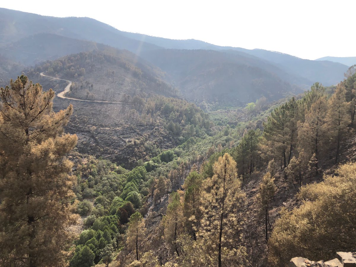 22:30h | El <a href="/PLANINFOEX/">INFOEX</a> continúa con trabajos de vigilancia activa y control ante posibles reactivaciones en los incendios de Las Hurdes y Casas de Miravete.

➡️Incendios activos.

➡️Nivel 2 de peligrosidad.