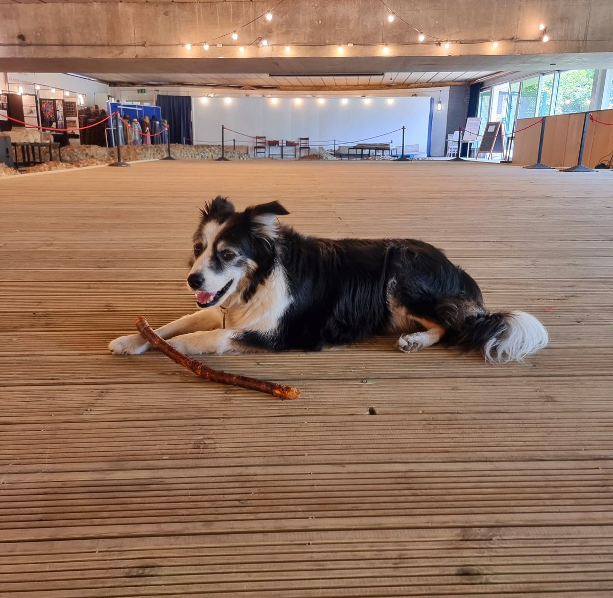 Thanks so much to the formidable John Hawks and his gorgeous dog, Toby, for today's (free!) guided walk in conjunction with South East Rivers Trust. It was thoroughly enjoyable. We learned absolutely loads about the River Wandle, Merton Priory, and Merton Abbey Mills!