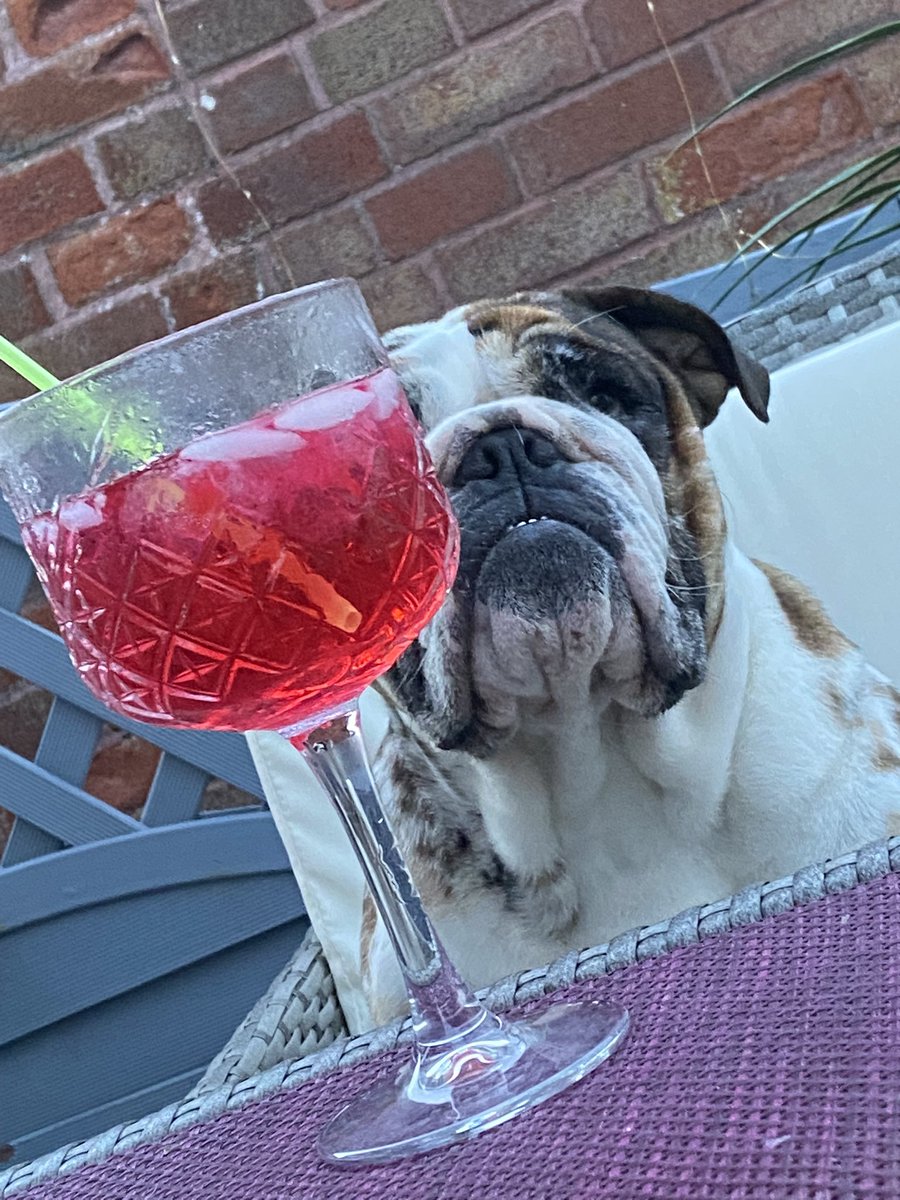 sarahwilliam111's tweet photo. Rems on the gin 😂😂 https://t.co/y0ZXX1VW7g