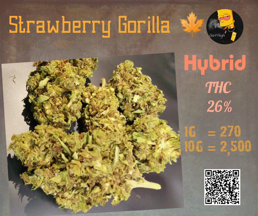 Getkit1's tweet image. OG​ สายพันธุ์นอก👍
ราคาบ้านๆ​
Charlotte'Ag
Blue Chese
KCP.​
OG​ Kush
Scoge Ethos
Pink Haze
Lemon Cookies
Bubblegum
==============
ชมสินค้าอื่นได้ที่​ shop.line.me/@597mponl
ติดต่อ​ Line : @597mponl
#กัญชา #ขายกัญชา #กัญชาเชียงใหม่ #กัญชาออแกนิค #กัญชากรุงเทพ #กัญชาโอจี​ #กัญชาog